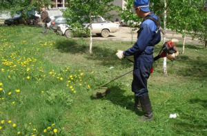 Активные граждане высказались за регулярный покос травы в московских дворах