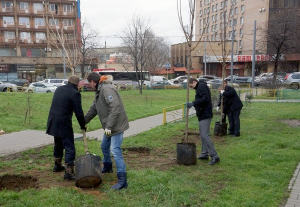 В Южном округе Москвы высадят деревья и кустарники в рамках программы «Моя улица»
