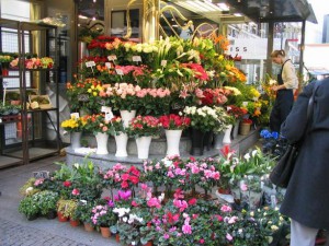 Южный округ входит в тройку лидеров по числу цветочных магазинов в Москве