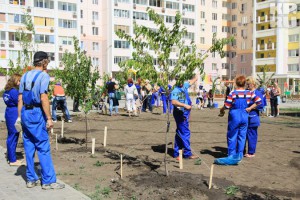 Дворы в районе Чертаново Северное озеленят деревьями, которые выбрали «Активные граждане»