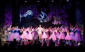 В культурном центре "Северное Чертаново" состоялся концерт балерины Анастасии Волочковой 
