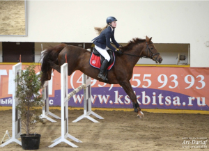 Соревнования по конкуру пройдут в конно-спортивном комплексе «Битца»