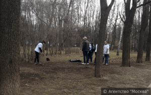 Работы по благоустройству и уборке территории пройдут весной в районе Чертаново Северное