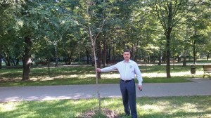 Депутат Назиржон Абдуганиев: Чем больше будет деревьев в районе, тем комфортней в нем будет жить нашим детям