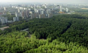 Вокруг Москвы создадут «Зеленый пояс»