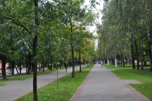 Школьный парк в районе Чертаново Северное 
