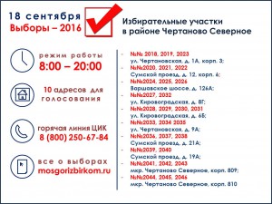 инфографика выборы_ЧС