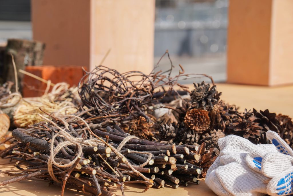 Экологический урок состоится в Экоцентре «Битцевский лес». Фото: Ксения Догонашева, «Вечерняя Москва»