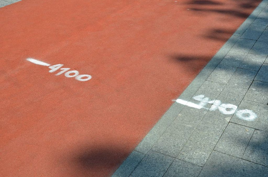 Беговой субботник пройдет в Бирюлевском дендропарке. Фото: Анна Быкова, «Вечерняя Москва»