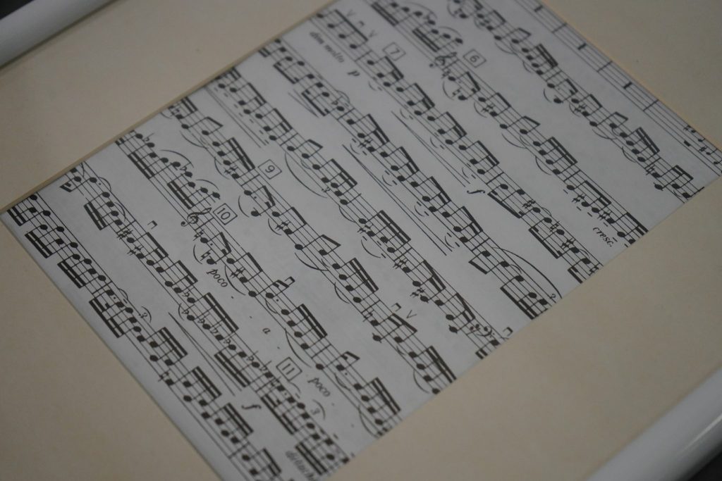 Музыкальное мероприятие анонсировали сотрудники управы района Чертаново Северное. Фото: Анна Быкова, «Вечерняя Москва»