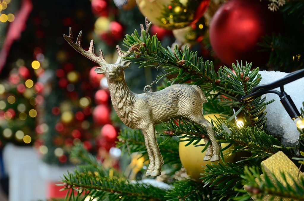 Рождественский концерт пройдет в МКЦ «Чертаново Северное». Фото: Анна Быкова, «Вечерняя Москва»