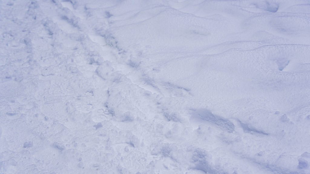 Уборка снега прошла на территории школы №1179. Фото: Ксения Догонашева, «Вечерняя Москва»