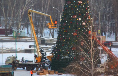 К Новому году в Южном округе установят около 60 крупных искусственных елок