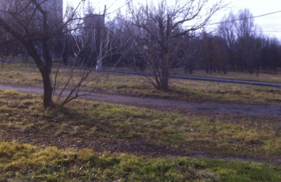 Двор в районе Чертаново Северное отчистили от мелкого мусора