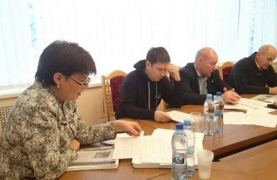 Глава управы Татьяна Илек выступила с отчетом о проделанной в 2015 году работе