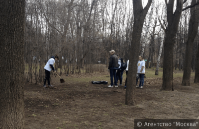Работы по благоустройству и уборке территории пройдут весной в районе Чертаново Северное