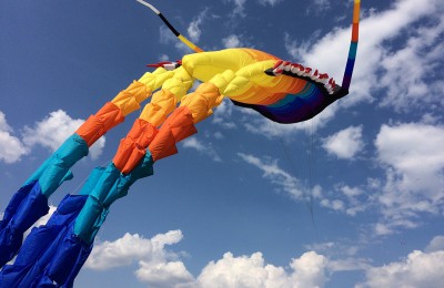 Жители ЮАО смогли посетить фестиваль воздушных змеев