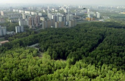 Вокруг Москвы создадут «Зеленый пояс»