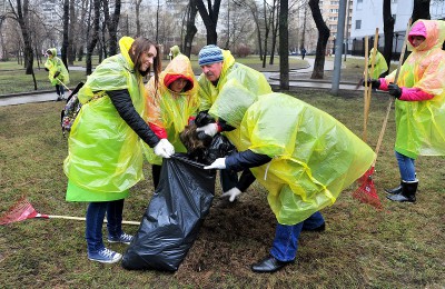 Общегородские субботники пройдут на 75 площадках в парках Москвы