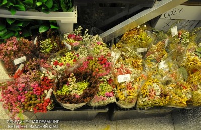 В переходе станции "Чертановская" будут торговать цветами, едой, вещами и многим другим