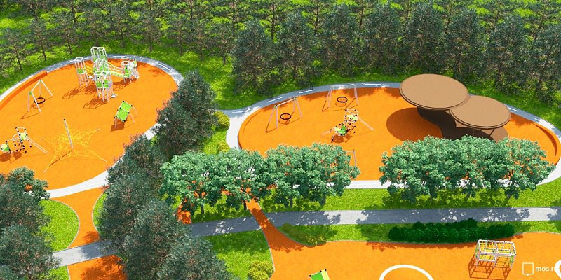 В парке 50-летия Октября появится спортивный кластер под открытым небом
