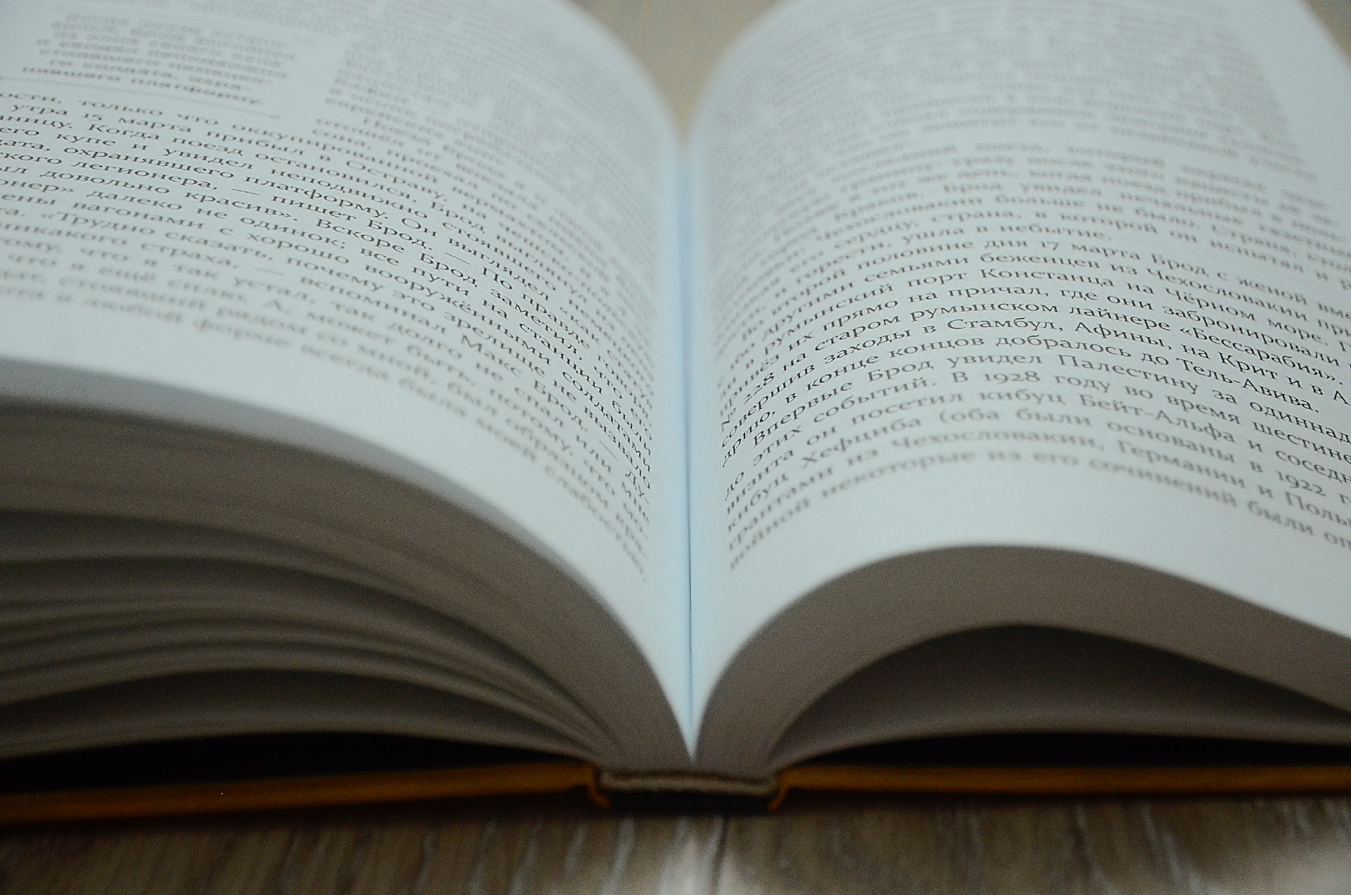 «Лето - книжная страна»: тематическую выставку представят в библиотеке №151. Фото: Анна Быкова, «Вечерняя Москва»