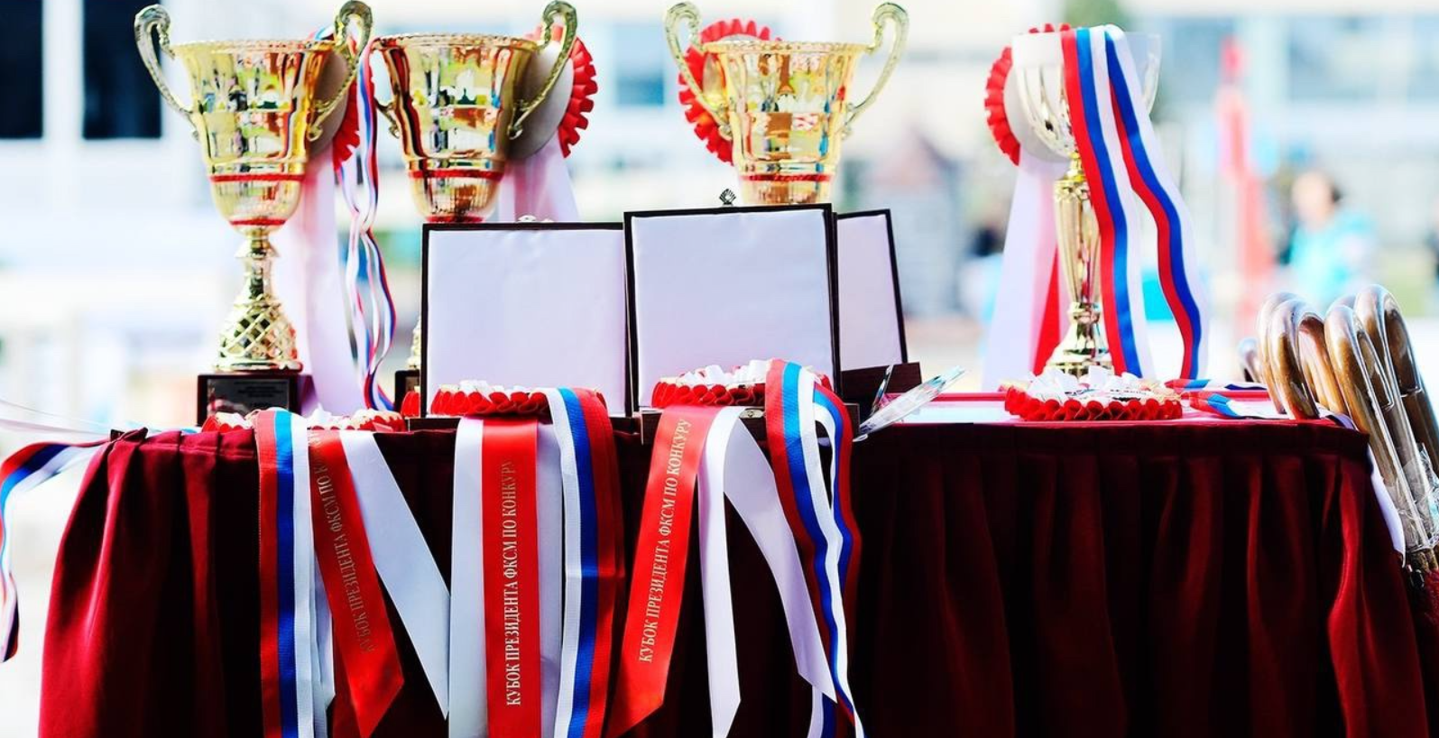 Турнир по конкуру пройдет на территории КСК «Битца». Фото: официальная страница Конноспортивного комплекса «Битца» в социальных сетях