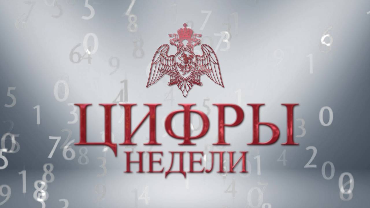 Фото: пресс-служба Росгвардии