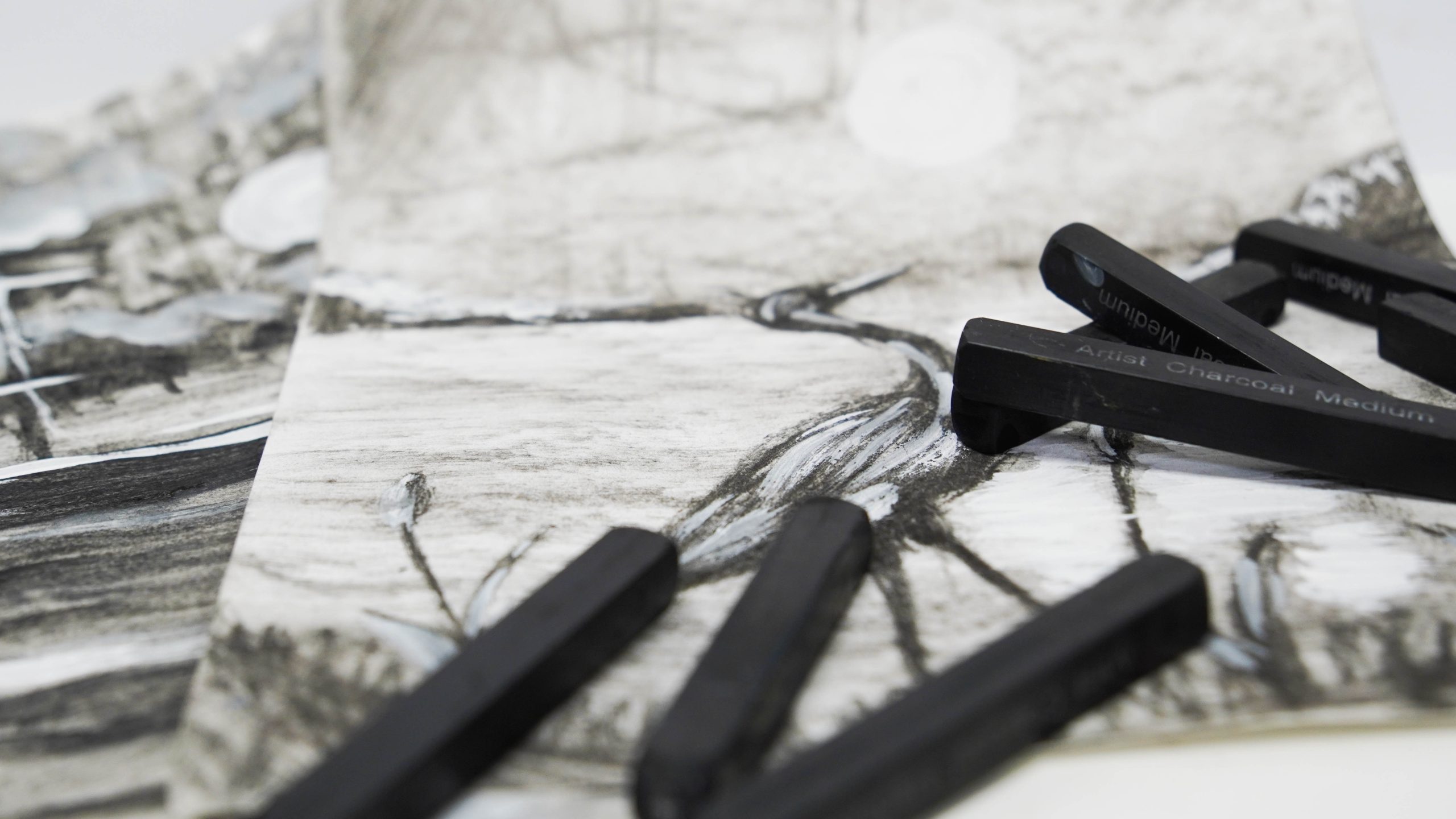 Творческий мастер-класс в честь Международного дня защиты животных пройдет в ДК «Чертаново». Фото: Ксения Догонашева, «Вечерняя Москва»