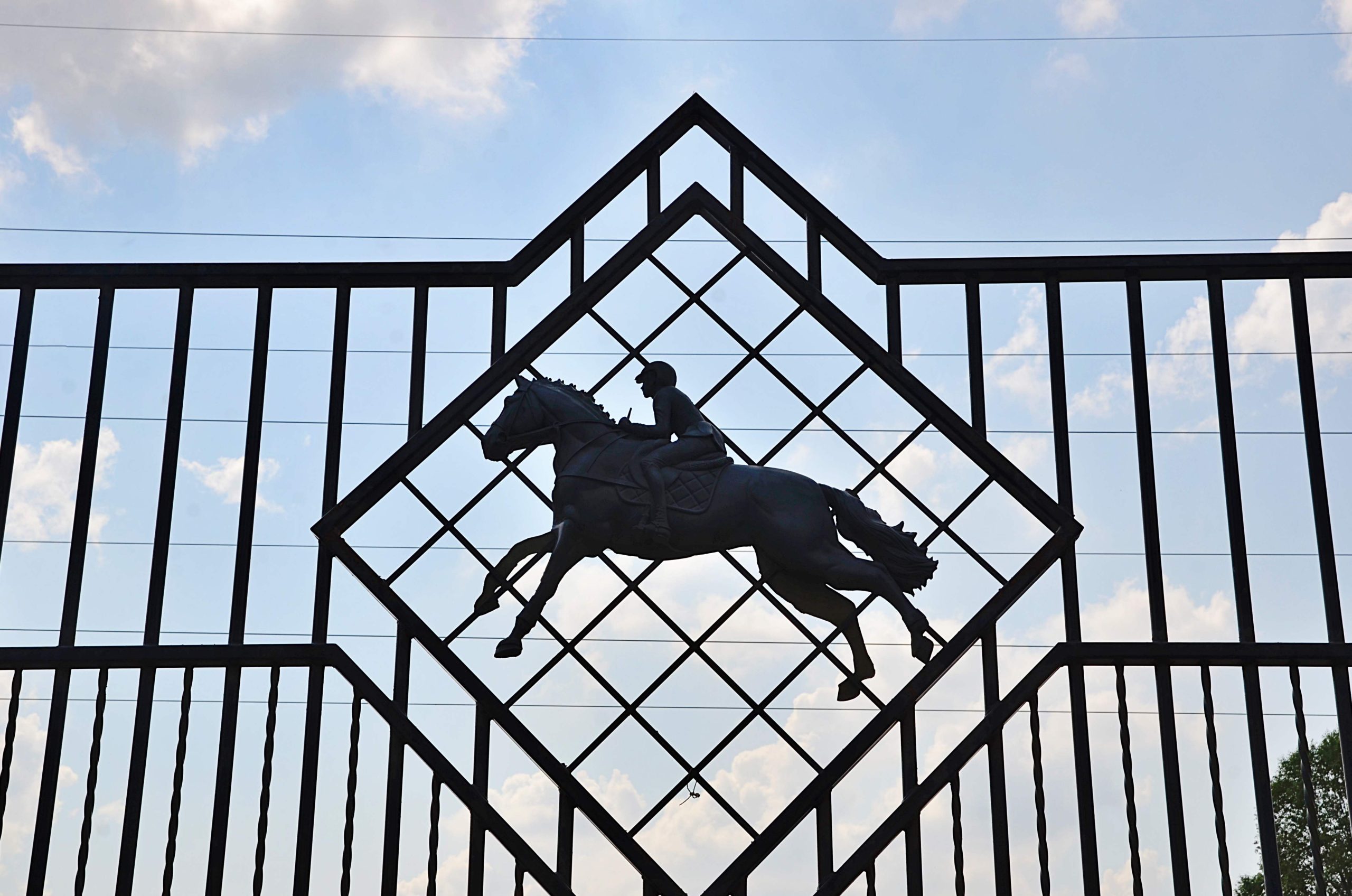 Программу зимнего праздника проведут в КСК «Битца». Фото: Анна Быкова, «Вечерняя Москва»